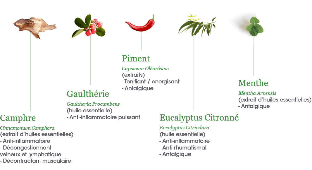 Le principe actifs en Traumatologie