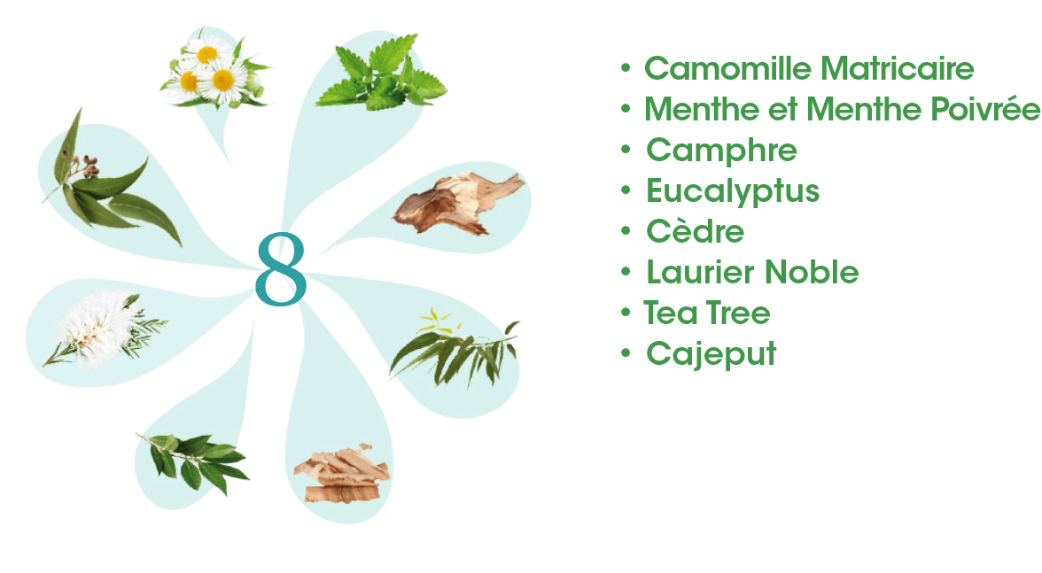 Le principe actifs en Kinésithérapie